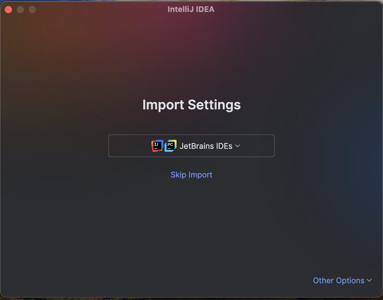 Screenshot displaying the 'Import Settings' screen during IntelliJ IDEA setup. Users are prompted to import settings from previous JetBrains IDEs or skip the import to proceed with the installation