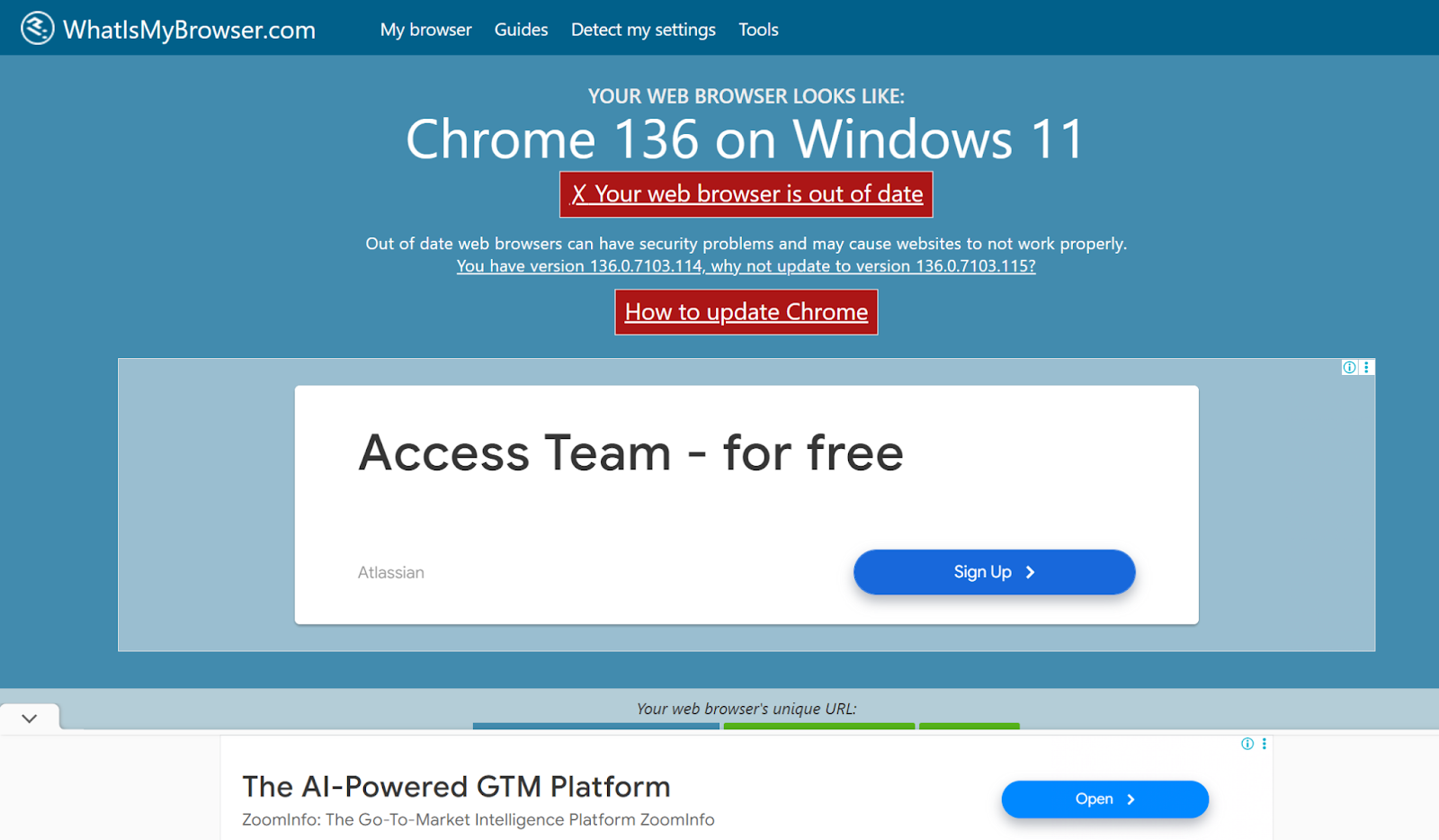 Browser Developer Tools Console  