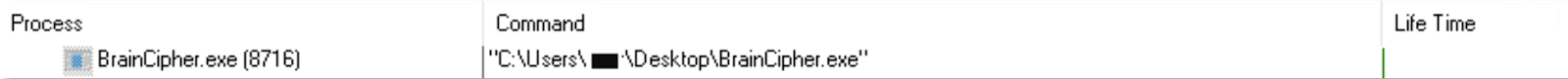 Brain Cipher Ransomware Analysis with Cynet’s All-in-One Platform