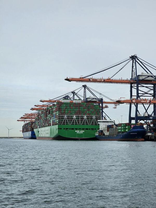 Stacks of large shipping containers on a pier, representing global logistics and the operations of international shipping companies.