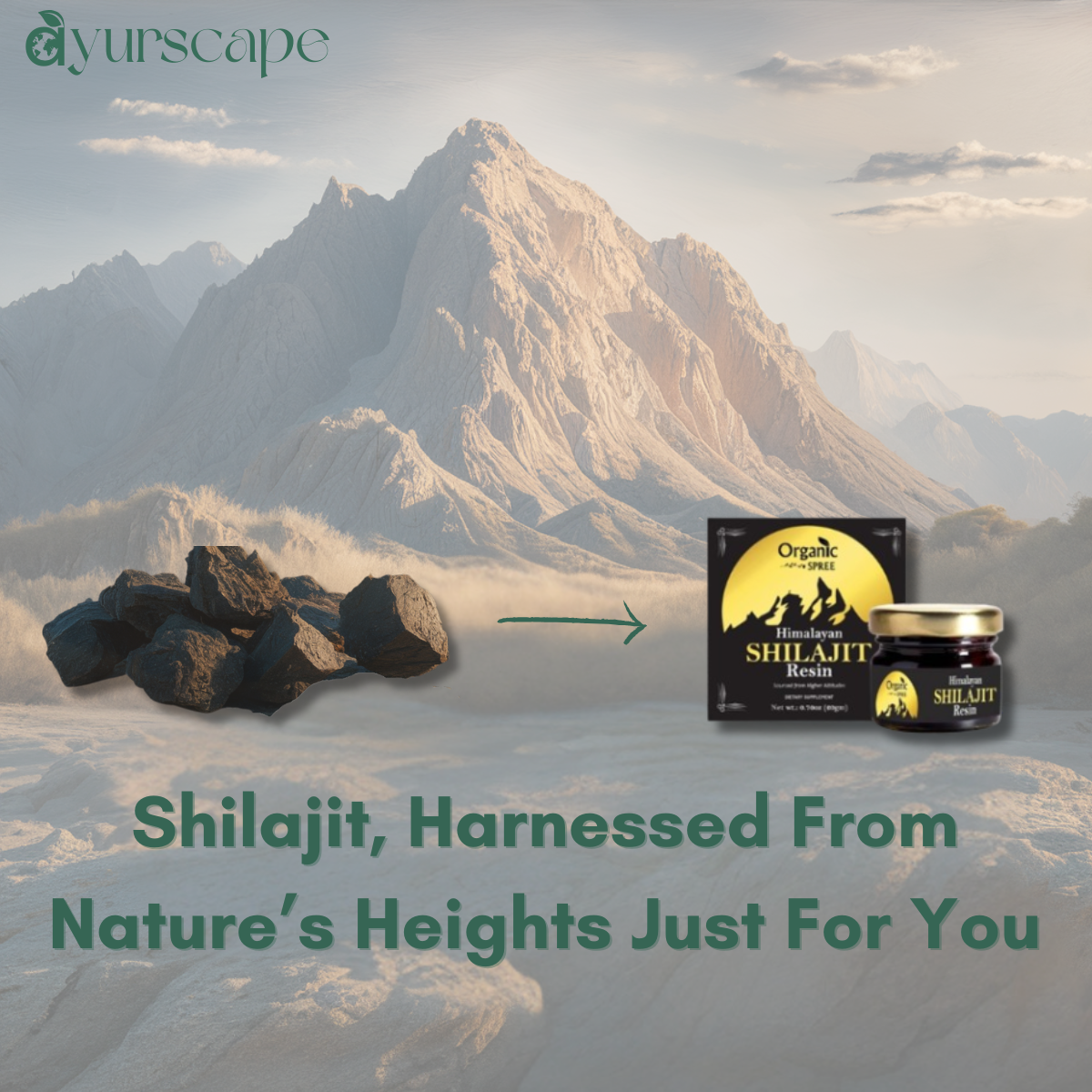 Buy Best Shilajit in USA - Raw Shilajit turning into Organic Spree packaged Shilajit with mountain Background