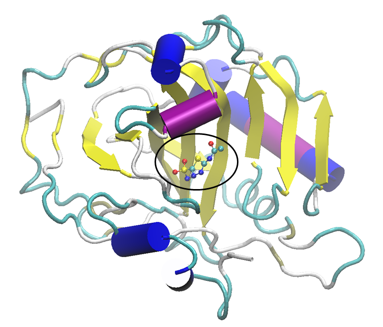 C:\Users\anetka\Desktop\Coopernicus\protein_AZM_prezentacja.png