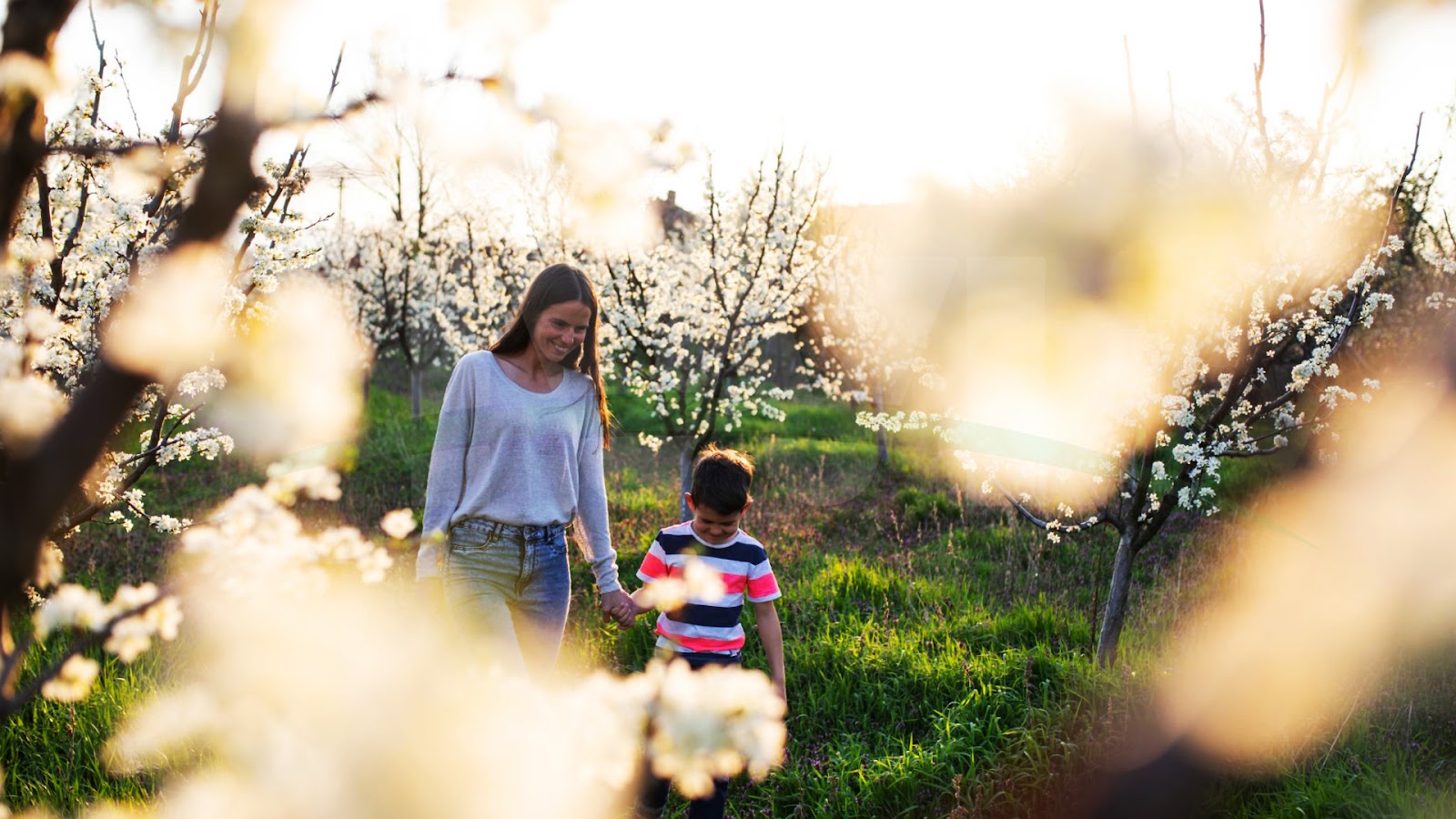 springtime family photo ideas images 8