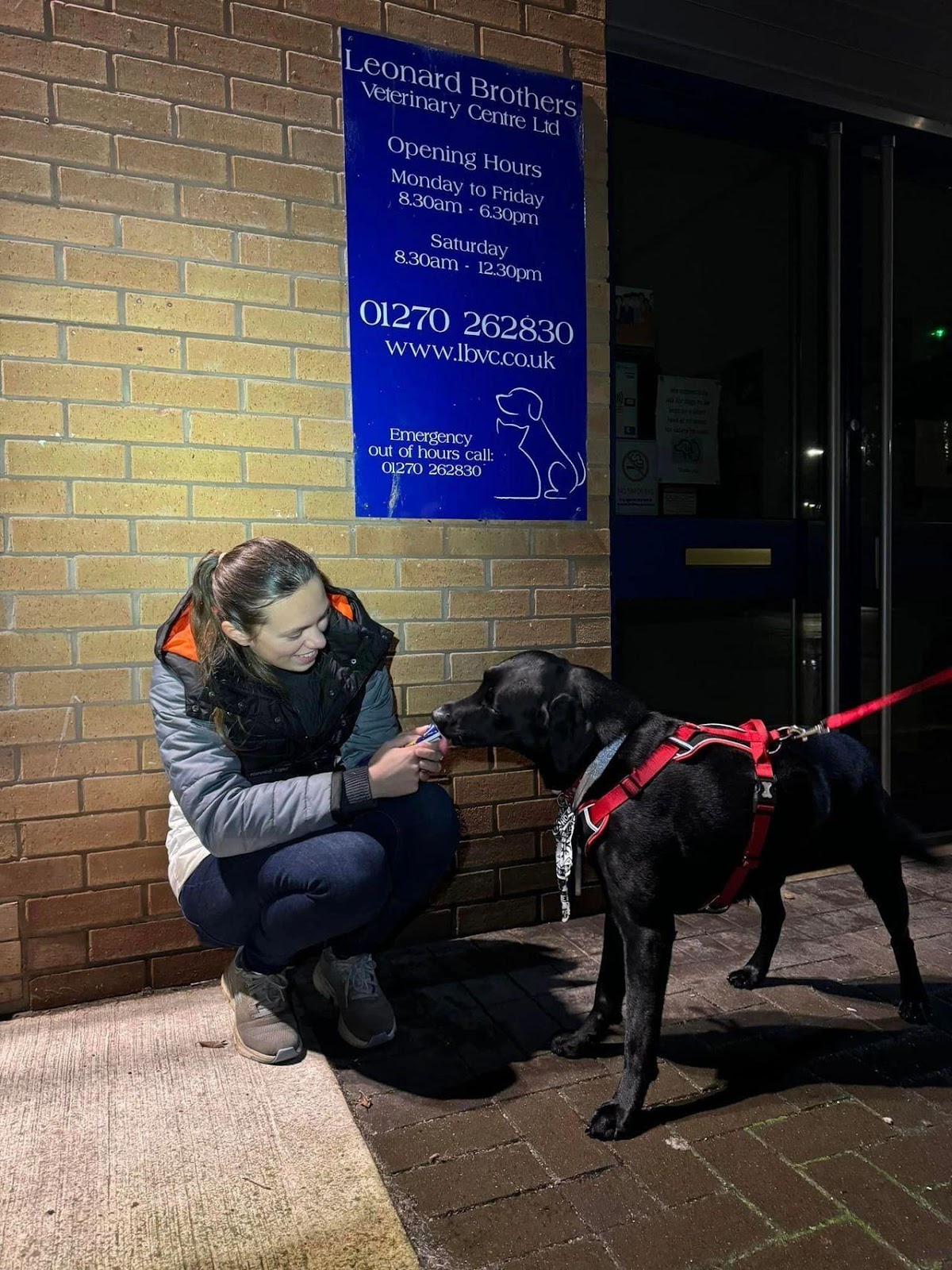 Hannah hiding outside Leonard Brother's vets to help a nervous dog find his new vets a positive experience