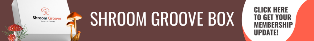 Shroom Groove Box with Mushrooms