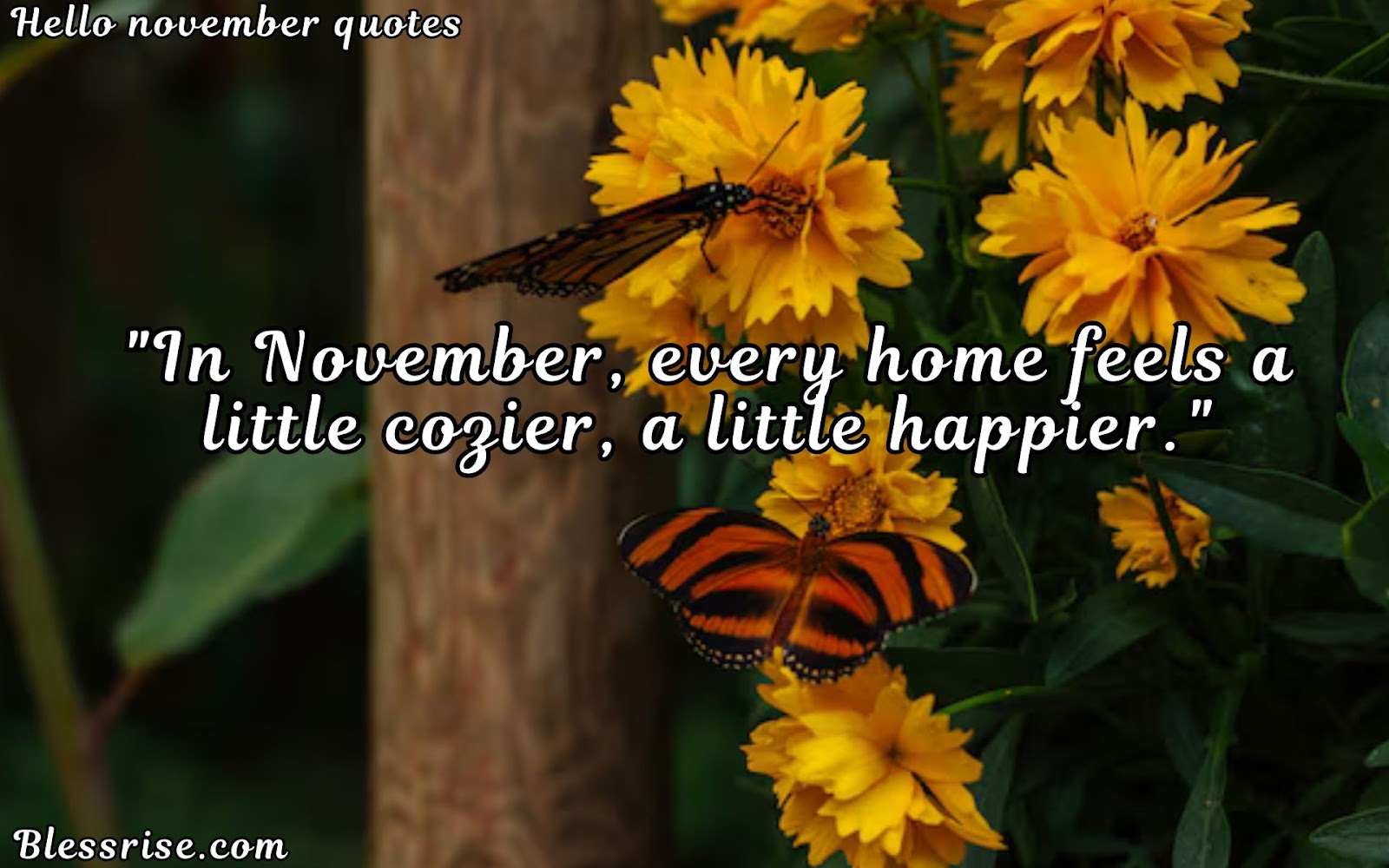 Autumn quotes
