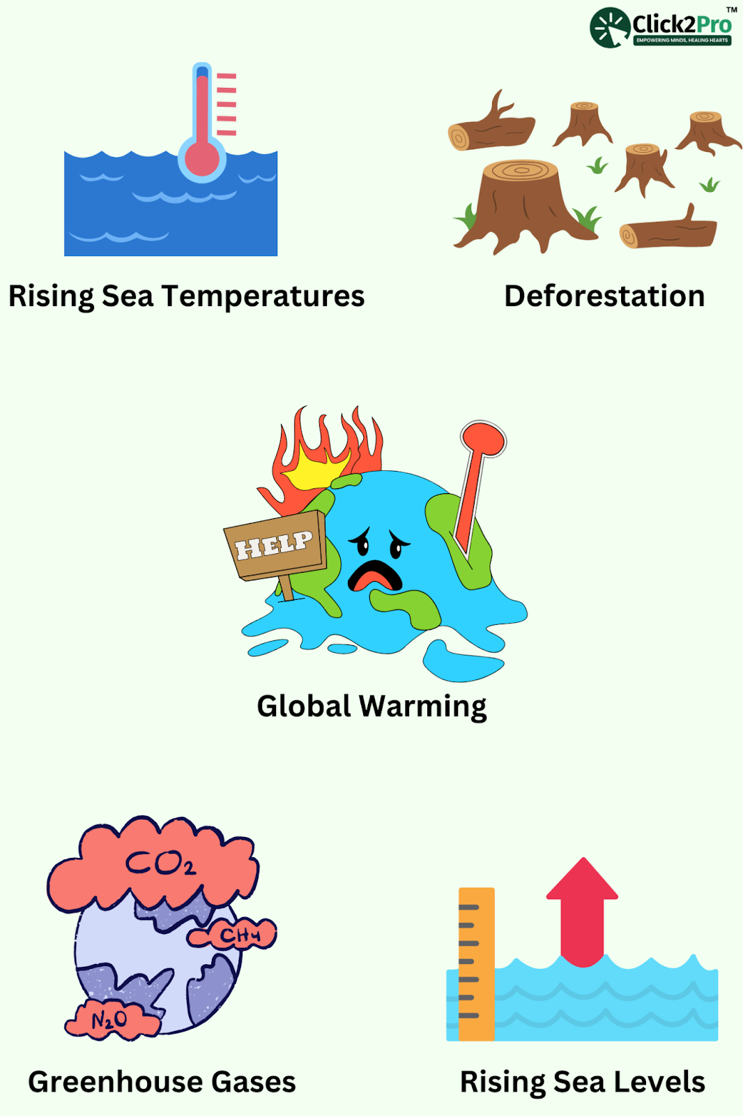 Causes of Frequent Hurricanes: Rising Sea Temperatures, Deforestation, Global Warming, and Sea Levels