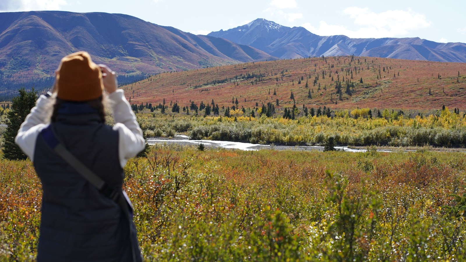 Getting Around and Exploring Denali National Park