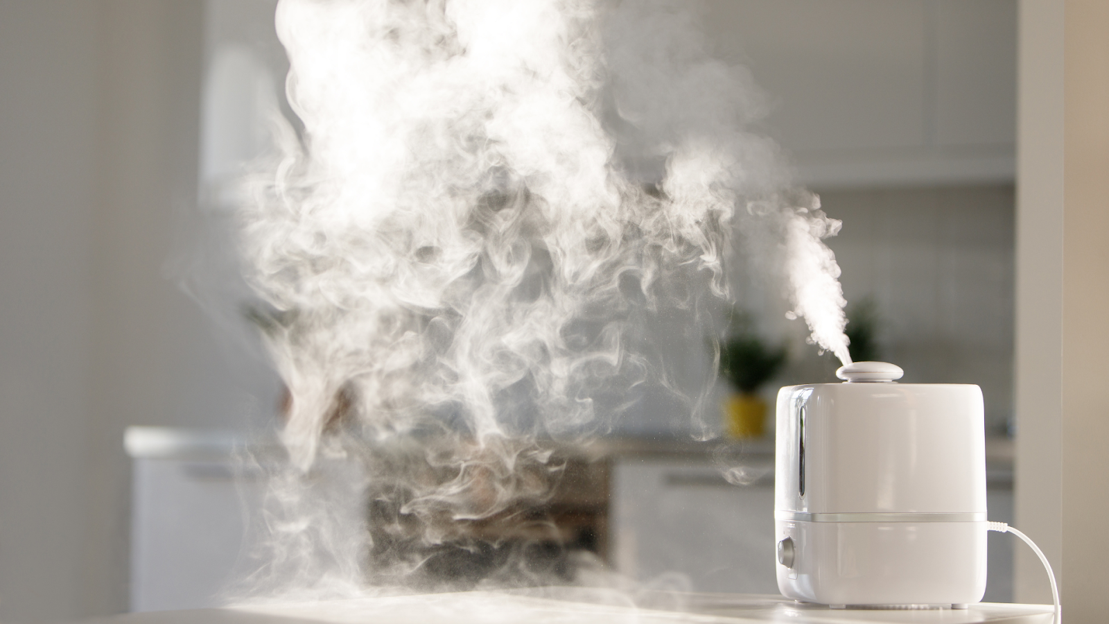 Humidifier / Sumber: Canva