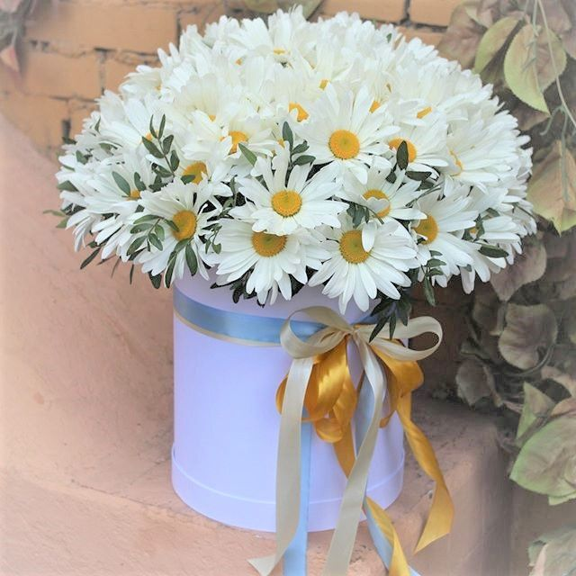 flores Margaritas