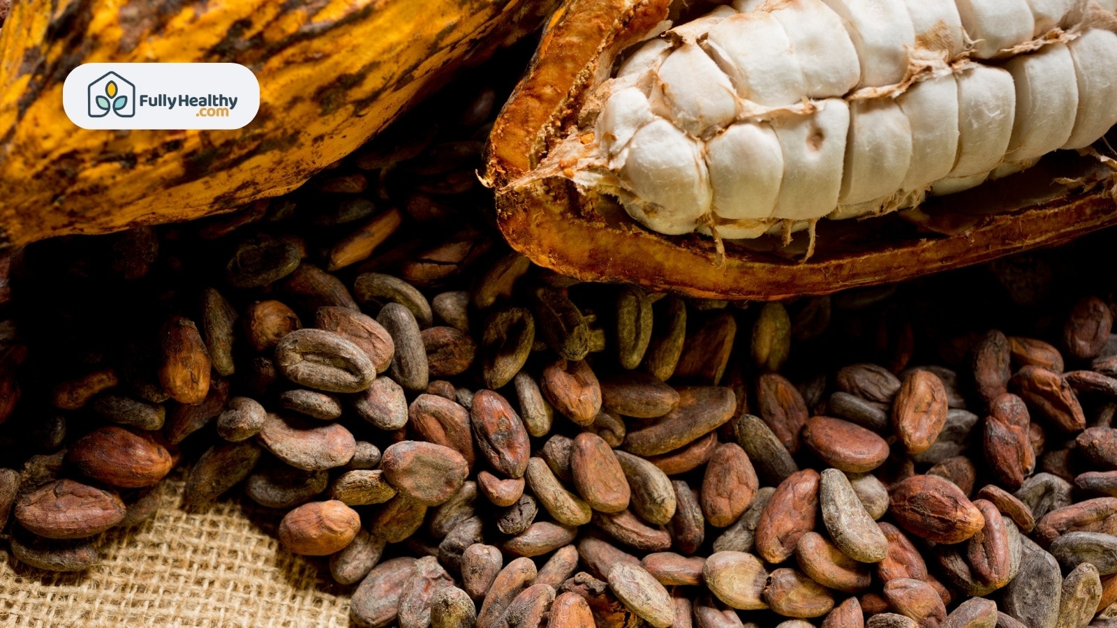 Open cocoa pod showing pulp surrounded by raw cocoa beans