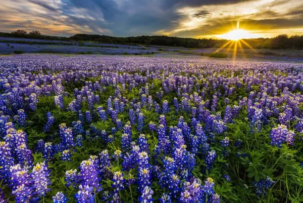 Serene Nature Scenes You Can’t Look Away From, serene scenes, relaxing photos, nature, landscape, calming visuals, tranquil vibes
