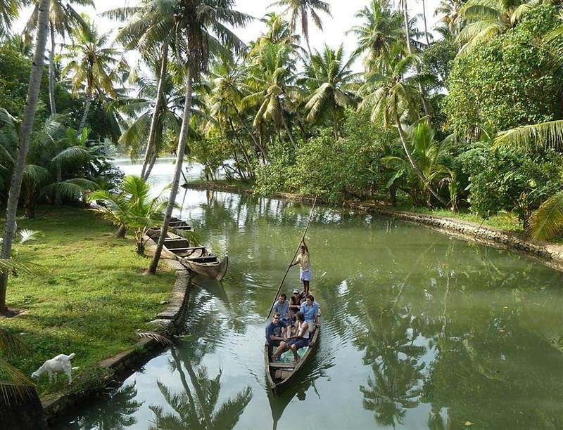 A group of people enjoys a serene canoe ride through narrow backwaters surrounded by lush green palm trees and tropical vegetation, with traditional wooden boats moored along the bank and a white dog walking near the water’s edge.