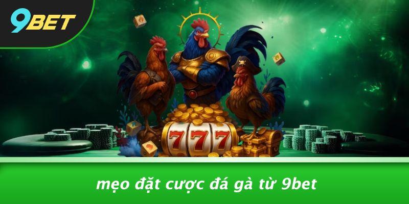 Mẹo Đặt Cược Đá Gà Từ 9BET