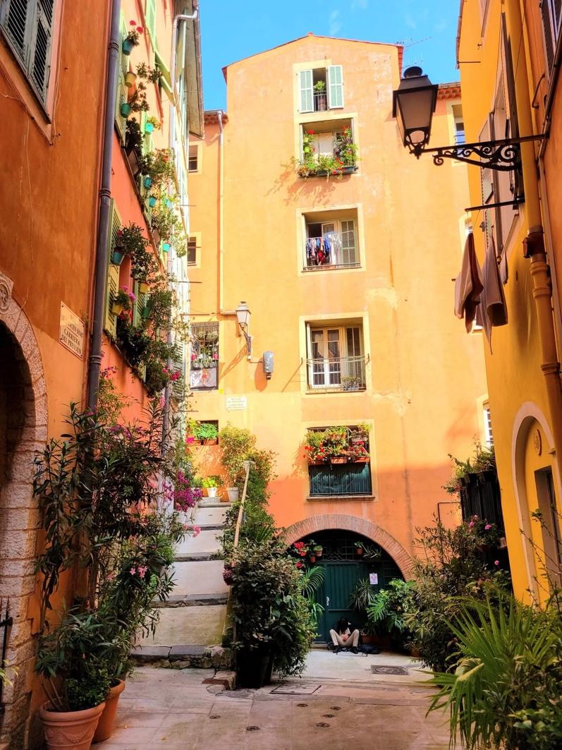 A courtyard with plants and a building

Description automatically generated with medium confidence