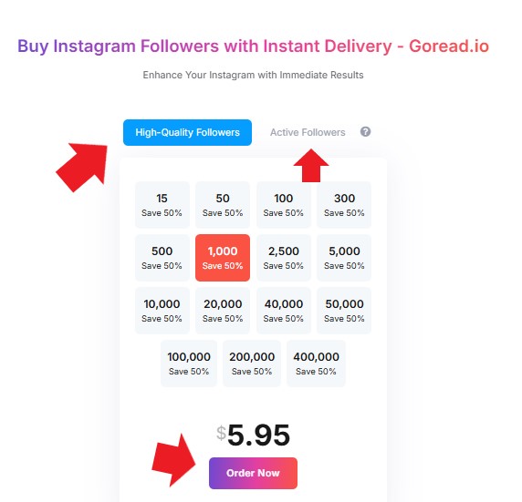 Buying Instagram followers on InsFollowPro