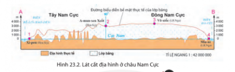 BÀI 23: THIÊN NHIÊN CHÂU NAM CỰCĐặc điểm tự nhiênCâu 1: Dựa vào hình 23.1, hình 23.2 và thông tin trong bài, em hãy cho biết đặc điểm nổi bật của địa hình bề mặt châu Nam Cực. Giải nhanh:- Đặc điểm nổi bật của địa hình bề mặt châu Nam Cực là toàn bộ được phủ bởi lớp băng dày. Lớp băng này làm cho bề mặt châu lục trở nên bằng phẳng, hình thành các cao nguyên băng rộng lớn, giống như những chiếc khiên khổng lồ. Phần trung tâm của địa hình cao hơn, còn phần rìa thấp dần xuống. Ngoài ra, châu Nam Cực cũng có các băng thềm lục địa, hình thành chủ yếu trong các vịnh biển và các vùng bờ biển nông.Câu 2: Dựa vào hình 23.3, hình 23.4 và thông tin trong bài, em hãy:- Nhận xét lượng mưa hằng năm và sự phân bố lượng mưa ở châu Nam Cực.- Nhận xét nhiệt độ trung bình năm tại các trạm. Cho biết sự chênh lệch nhiệt độ giữa các tháng trong năm như thế nào?Giải nhanh:- Châu Nam Cực có lượng mưa rất thấp, trung bình chỉ khoảng 166 mm/năm. Mưa chủ yếu xảy ra vào mùa hè ở các khu vực ven biển và đảo, trong khi vùng nội địa gần như không mưa.- Nhiệt độ rất thấp suốt năm, không bao giờ vượt quá 0°C, và có sự chênh lệch nhiệt độ lớn giữa các tháng, từ -36,6°C vào tháng lạnh nhất đến -14,4°C vào tháng ấm nhất tại các trạm nghiên cứu như Bai-đơ.Câu 3: Dựa vào hình 23.5 và thông tin trong bài, em hãy:- Kể tên một số loài sinh vật chính ở châu Nam Cực.- Cho biết tại sao các sinh vật tồn tại được trong điều kiện môi trường khắc nghiệt ở châu Nam Cực?Giải nhanh:- Châu Nam Cực có thực vật như rêu, địa y, tảo, nấm và động vật như thú chân vịt, chim cánh cụt, hải cẩu, hải báo và các loài chim biển. - Các sinh vật này đã thích nghi với điều kiện môi trường khắc nghiệt nhờ lớp mỡ dày, lông rậm không thấm nước và khả năng chịu đựng nhiệt độ cực thấp từ -40°C đến -50°C.Câu 4: Dựa vào hình 23.1 và thông tin trong bài, em hãy:- Kể tên các loại khoáng sản ở châu Nam Cực.- Cho biết dầu mỏ và khí tự nhiên phân bố chủ yếu ở đâu?Giải nhanh:- Các loại khoáng sản ở châu Nam Cực: than đá, sắt, dầu mỏ, khí tự nhiên.- Dầu mỏ và khí tự nhiên phân bố chủ yếu ở biển Rớt.Kịch bản về sự thay đổi thiên nhiên châu Nam Cực khi có biến đổi khí hậu toàn cầu Câu hỏi: Quan sát hình 23.6 và dựa vào thông tin trong bài, em hãy viết kịch bản về sự thay đổi thiên nhiên châu Nam Cực khi có biến đổi khí hậu toàn cầu.Giải nhanh:Châu Nam Cực đang chứng kiến sự thay đổi môi trường vì biến đổi khí hậu toàn cầu. Nhiệt độ trung bình toàn cầu dự kiến tăng 1,1°C - 2,6°C vào cuối thế kỷ XXI, với nhiều hiện tượng thời tiết cực đoan và mực nước biển tăng. Sự ấm lên này làm tan chảy lớp băng Nam Cực nhiều hơn, khiến các khối băng trôi ra biển và nguy hiểm cho các tàu thuyền. Băng tan cũng thu hẹp địa bàn sống của chim cánh cụt và làm thay đổi môi trường sinh sống của các sinh vật biển.Luyện tập – Vận dụng