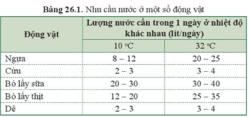 BÀI 26. TRAO ĐỔI NƯỚC VÀ CÁC CHẤT DINH DƯỠNG Ở ĐỘNG VẬTMỞ ĐẦUCâu hỏi: Thực vật có thể tự tổng hợp chất hữu cơ bằng cách quang hợp khi có ánh sáng. Động vật không thể tự tổng hợp chất hữu cơ thư thực vật mà phải lấy chất hữu cơ có sẵn trong thức ăn làm nguyên liệu tổng hợp cần thiết cho cơ thể. Kể tên các loại thức ăn của những động vật sau: gà, ong mật, chó, muỗi anophen, ếch, trâu, giun đất... Động vật thu nhận nước bằng cách nào?Đáp án chuẩn:Các loại thức ăn của những động vật:Gà: Thóc, cám, giun đất,...Ong mật: Mật hoa.Chó: Cơm, cá, xương,...Muỗi anophen: ấu trùng,...Trâu: cỏ, cám, rau xanh,...Động vật thu nhận nước và chất dinh dưỡng thông qua thức ăn, nước uống.I. QUÁ TRÌNH TRAO ĐỔI NƯỚC Ở ĐỘNG VẬTCâu 1: Động vật có nhu cầu nước như thế nào?Đáp án chuẩn:Phụ thuộc vào loài, kích thước cơ thể, độ tuổi, thức ăn, nhiệt độ của môi trường.Câu 2: Từ thông tin trong bảng 26.1 nhận xét về nhu cầu nước ở một số động vật. Tại sao nhu cầu nước lại khác nhau giữa các động vật và ở các nhiệt độ khác nhau?Đáp án chuẩn:Vì mỗi loài có cấu tạo, hoạt động sinh lí và sống trong các điều kiện môi trường khác nhau.Câu 3: Điều gì sẽ xảy ra nếu mỗi ngày chỉ cung cấp cho bò lấy sữa lượng nước như bò lấy thịt?Đáp án chuẩn:Nếu như cung cấp lượng nước cho bò lấy sữa giống bò lấy thịt thì lượng sữa thu được sẽ bị ảnh hưởng.Vận dụng 1Câu hỏi: Nêu các biện pháp đảm bảo đủ nước cho cơ thể mỗi ngàyĐáp án chuẩn:Uống đủ nước mỗi ngày, xây dựng chế độ ăn hợp lý.Vận dụng 2Câu hỏi: Trong trường hợp nào phải truyền nước cho cơ thể?Đáp án chuẩn:Khi cơ thể bị mất nước nghiêm trọng, mất nước do sốt cao, tiêu chảy,...Câu 4: Quan sát hình 26.1, mô tả con đường trao đổi nước ở ngườiĐáp án chuẩn:Lượng nước được đưa vào cơ thể thông qua thức ăn, nước uống → sử dụng cho các hoạt động sống → thải ra ngoài thông qua hơi thở, bốc hơi qua da, mồ hôi, nước tiểu, nước trong phân.Vận dụng 3Câu hỏi: Ở người, ra mồ hôi có ý nghĩa gì với cơ thể?Đáp án chuẩn:Giúp cân bằng nhiệt độ và loại bỏ độc tố ra khỏi cơ thể.Vận dụng 4Câu hỏi: Vì sao chúng ta cần uống nhiều nước hơn khi trời nóng hoặc khi vận động mạnh?Đáp án chuẩn:Vì lúc đó thường ra nhiều mồ hôi để điều hòa nhiệt độ cơ thể → mất nước → cần bổ sung thêm nước.II. DINH DƯỠNG Ở ĐỘNG VẬTCâu 5: Cho biết nhu cầu dinh dưỡng là gì ? Nhu cầu dinh dưỡng phụ thuộc vào yếu tố nào?Đáp án chuẩn:- Là thức ăn mà động vật cần thu nhận vào hằng ngày để xây dựng cơ thể và duy trì sự sống.- Phụ thuộc vào mỗi loại, độ tuổi, giai đoạn phát triển và cường độ hoạt động của cơ thể, thời tiết, nhiệt độ, mùa,...Vận dụng 5Câu hỏi: Calcium là nguyên liệu chủ yếu hình thành nên vỏ cứng của trứng ở gia cầm. Nếu chế độ ăn thiếu calcium có thể ảnh hưởng gì đến đẻ trứng của gia cầmĐáp án chuẩn:Làm vỏ trứng bị mềm, ảnh hưởng đến chất lượng trứng.Câu 6: Quan sát hình 26.2, mô tả con đường thu nhận và tiêu hoá thức ăn, hấp thụ chất dinh dưỡng và thải bã ở người.Đáp án chuẩn:Miệng thu nhận thức ăn, nghiền nhỏ → thực quản → dạ dày → nhào trộn thành hỗn hợp lỏng và tiêu hoá một phần → ruột non → hấp thụ chất dinh dưỡng → ruột già → tái hấp thu lại nước và chuyển thành chất thải rắn → trực tràng và hậu môn → thải ra ngoài.Tìm hiểu thêm: Thỏ ăn cỏ xanh non và hoa màu nhưng đôi khi cũng ăn luôn cả phân của nó thải ra trong đêm. Tại sao?Đáp án chuẩn:Ban ngày sau khi thỏ ăn một lượng lớn cỏ tươi non, xuất hiện dinh dưỡng quá thừa và dạ dày của chúng rất nhỏ. Còn buổi tối do thiếu cỏ, ăn ít, lượng dinh dưỡng giảm, nên chúng ăn lại phân trong đêm để hấp thu các chất dinh dưỡng của thức ăn còn trong phân.Câu hỏi 1: Quan sát hình 26.3, phân biệt các giai đoạn: thu nhận, tiêu hóa thức ăn, hấp thụ chất dinh dưỡng và thải bã ở người. Đáp án chuẩn:Thu nhận: Miệng thu nhận, nghiền nhỏ và đẩy thức ăn xuống thực quản.Tiêu hóa thức ăn: nhào trộn thức ăn thành hỗn hợp lỏng và tiêu hoá.Hấp thụ chất dinh dưỡng: các chất dinh dưỡng được hấp thụ vào mạch máu và hệ bạch huyết (lipit).Thải bã: phần bã đi qua ruột già tiếp tục được tái hấp thu và chuyển thành chất thải rắn → trực tràng và hậu môn.Câu 7: Thức ăn đã tiêu hoá (chất dinh dưỡng) đi đến các bộ phận khác nhau của cơ thể theo những con đường nào?Đáp án chuẩn:Nhờ hệ tuần hoàn.Câu hỏi 2: Mô tả con đường vận chuyển các chất thông qua hệ tuần hoàn ở cơ thể người.Đáp án chuẩn:- Vòng tuần hoàn lớn vận chuyển máu mang chất dinh dưỡng và O2 từ tâm thất trái theo động mạch tới các cơ quan của cơ thể để trao đổi chất. Các chất thải theo máu tới các cơ quan bài tiết rồi thải ra ngoài, CO2 theo tĩnh mạch đổ vào tâm nhĩ phải.- Vòng tuần hoàn nhỏ vận chuyển máu mang CO2 từ tâm thất phải theo động mạch phổi đi tới phổi → trao đổi khí, máu giàu O2 theo tĩnh mạch phổi đổ vào tâm nhĩ trái.III. VẬN DỤNG TRAO ĐỔI CHẤT VÀ CHUYỂN HOÁ NĂNG LƯỢNG VÀO THỰC TIỄNCâu 8: Vì sao cần xây dựng chế độ dinh dưỡng đủ chất, đủ lượng?Đáp án chuẩn:Vì  sẽ cung cấp đầy đủ năng lượng theo nhu cầu dinh dưỡng của cơ thể, giúp cơ thể có đủ năng lượng hoạt động và phát triển.Câu 9: Vì sao ta cần phải phối hợp ăn nhiều loại thức ăn?Đáp án chuẩn:Vì nếu ăn một loại thức ăn thường xuyên sẽ bị thừa chất, ảnh hưởng xấu đến sức khoẻ. Câu hỏi 3: Kể tên các loại thực phẩm chứa nhiều đạm, chất béo, vitaminĐáp án chuẩn:Chứa đạm: thịt, cá, trứng, sữa, đậu nành,…Chứa chất béo: mỡ động vật, bơ, lạc, đậu phộng,…Chứa vitamin: rau xanh, hoa quả tươi,…Vận dụng 6Câu hỏi: Thiết kế một bữa ăn đủ chất, đủ lượng cho gia đình em.Đáp án chuẩn:Cơm, cá thu chiên mắm ngọt, canh bầu, cam tráng miệng.Câu 10: Kể tên một số bệnh do thiếu dinh dưỡng mà em biết. Nêu biện pháp phòng tránh các bệnh đó.Đáp án chuẩn:Bệnh: suy dinh dưỡng, còi xương, bướu cổ,...Biện pháp: Phối hợp chế độ dinh dưỡng hợp lý kết hợp với chế độ nghỉ ngơi và vận động cơ thể phù hợp.Câu 11: Vì sao rèn luyện thể thao và lao động kết hợp với dinh dưỡng phù hợp thì có thể phòng tránh một số bệnh do dinh dưỡng không hợp lý?Đáp án chuẩn:Vì tập thể dục thể thao là một biện pháp hiệu quả giúp tăng cường khả năng trao đổi chất và chuyển hóa các chất trong cơ thể.Câu 12: Thế nào là thực phẩm sạch và an toàn? Làm thế nào để thực hiện vệ sinh an toàn thực phẩm.Đáp án chuẩn:- Là những thực phẩm tươi, sống, không chất bảo quản, có lợi cho sức khoẻ- Vệ sinh an toàn thực phẩm: Rửa sạch, ngâm nước muối rau củ quả trước khi ăn, ăn chín uống sôi, rửa tay trước khi ăn và sau khi đi vệ sinh.Câu hỏi 4: Nêu một số bệnh lí do chế độ dinh dưỡng, vệ sinh ăn uống chưa hợp lí ở địa phương em và biện pháp phòng, tránh theo gợi ý bảng 26.2Đáp án chuẩn:Tên bệnhBiện pháp phòng tránhSuy dinh dưỡngXây dựng chế độ ăn hợp lí.Béo phìGiảm lượng tinh bột và chất béo trong khẩu phần ăn, không ăn đồ chiên rán.Tiêu chảy Đảm bảo vệ sinh an toàn thực phẩm, tránh sử dụng thực phẩm không rõ nguồn gốc.Chậm phát triển tư duyUống nhiều sữa và các thực phẩm hỗ trợ phát triển trí não.Vận dụng 7