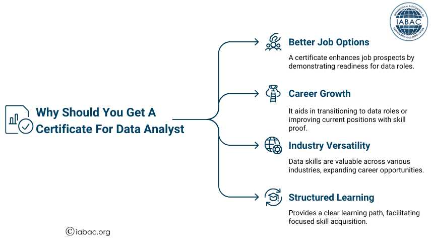 Data Analyst
