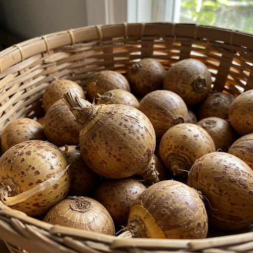 Harvesting and Storing Your Corms Vegetables