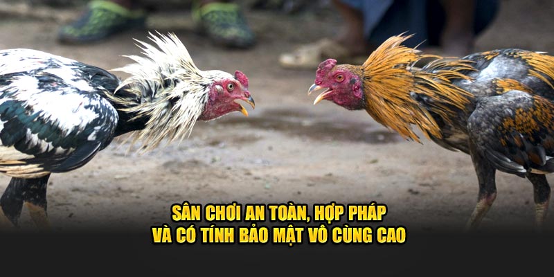 Sân chơi an toàn, hợp pháp và có tính bảo mật vô cùng cao