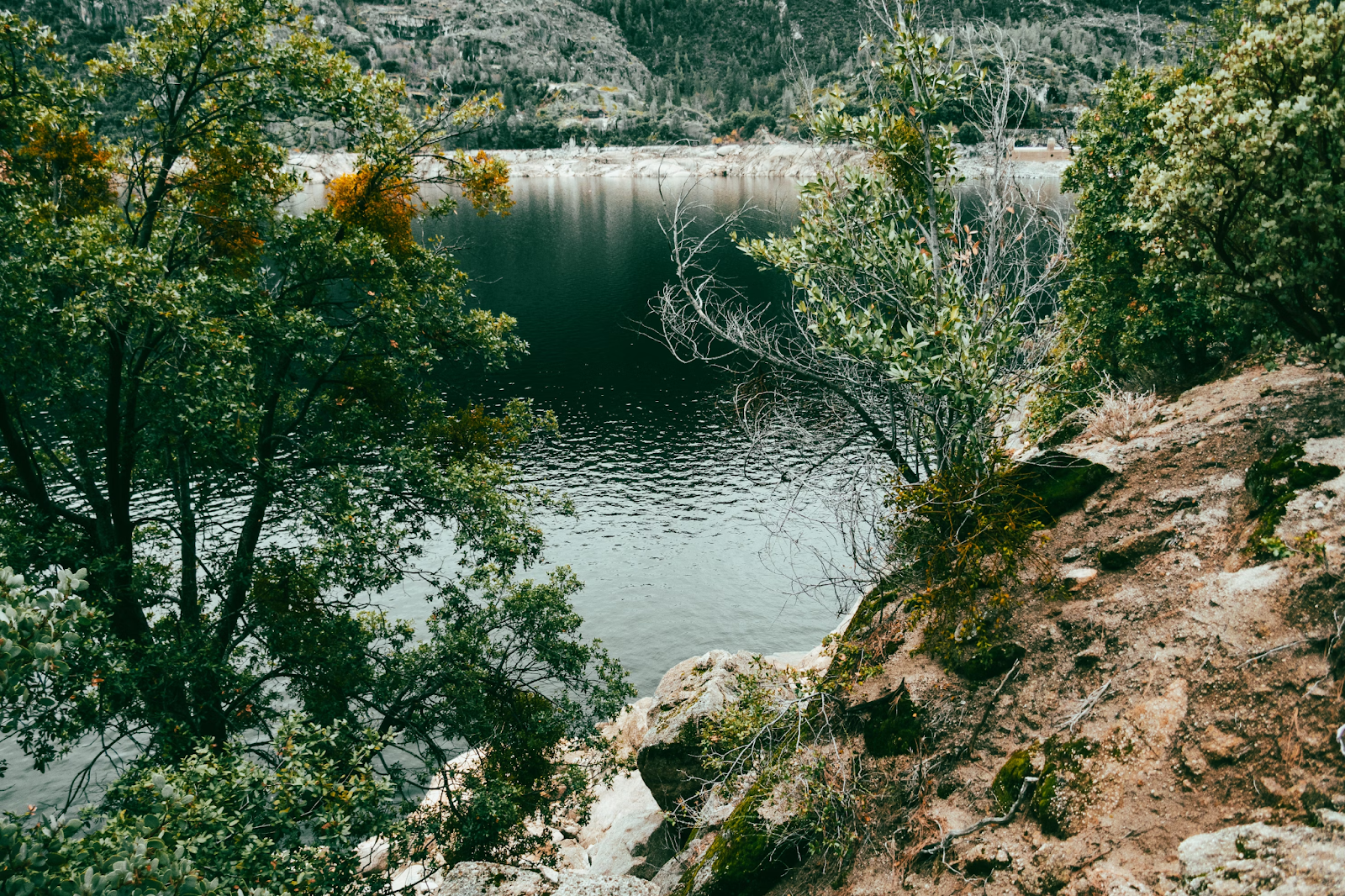 Image from the Yosemite: Capturing Nature’s Majesty Through Photography article on Abduzeedo