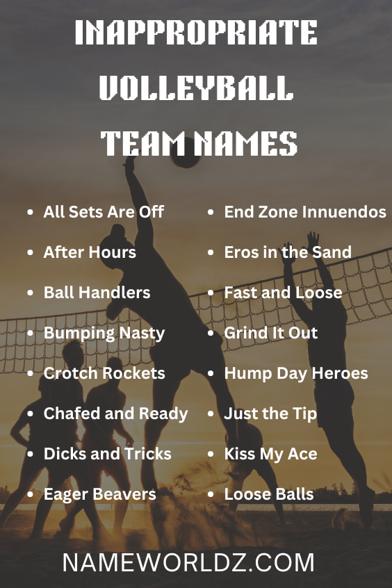 Inappropriate Volleyball Team Names