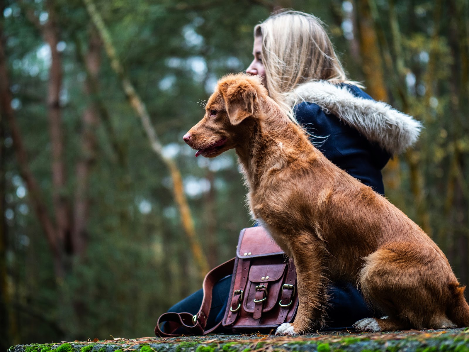 Woman with dog in cooler weather