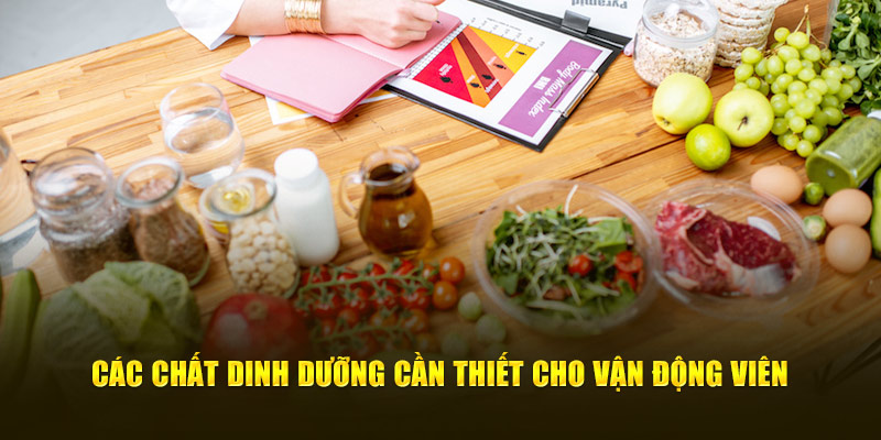 Tác Động Của Chế Độ Ăn Uống Đến Hiệu Suất Thể Thao 2024