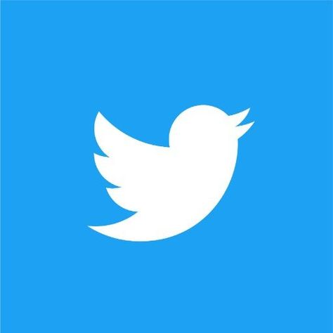 This  contain a white twitter logo on a blue background