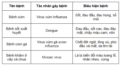 BÀI 24: VIRUS1. ĐẶC ĐIỂM VIRUSCâu 1: Nhận xét về hình dạng của một số virus trong Hình 24.1Đáp án chuẩn:Có hình dạng khác nhau: dạng xoắn, dạng hình khối tròn, dạng hỗn hợp.Câu 2: Quan sát Hình 24.2, nêu cấu tạo của virus. Cấu tạo của virus có gì khác so với cấu tạo của tế bào sinh vật nhân sơ và nhân thực mà em đã được học?Đáp án chuẩn:- Gồm vỏ ngoài, vỏ protein, phần lõi- Virus có cấu tạo đơn giản hơn chỉ với lớp vỏ protein và phần lõi là 1 dải hình dây; tế bào nhân sơ và nhân thực có nhiều bộ phận hơn.Câu 3: Tại sao virus phải sống kí sinh nội bào bắt buộc?Đáp án chuẩn:Virus chưa có cấu tạo tế bào → Virus không thể tổng hợp được những chất cần thiết → Virus phải nhờ vào bộ máy của tế bào chủ tổng hợp ra các chất cần thiết chúng cần nên virus phải kí sinh nội bào bắt buộc.2. VAI TRÒ CỦA VIRUSCâu 1: Tìm hiểu thông tin và cho biết ứng dụng của virus trong nghiên cứu thực tiễn.Đáp án chuẩn:Có vai trò trong nghiên cứu khoa học, sản xuất các chế phẩm sinh học, sản xuất thuốc trừ sâu,...Câu 2: Thuốc trừ sâu có nguồn gốc từ virus có ưu điểm gì so với thuốc trừ sâu hóa học?Đáp án chuẩn:Nó không gây hại cho môi trường, con người và các sinh vật khác xung quanh.Câu 3: Quan sát hình 24.3, 24.4, 24.5, 24.6 và hoàn thiện bảng theo mẫu sauĐáp án chuẩn:Câu 4: Từ thông tin gợi ý trong Hình 24.7, hãy cho biết bệnh do virus có thể lây truyền qua những con đường nào?Đáp án chuẩn:Qua đường tiếp xúc trực tiếp, ho hoặc hắt hơi, truyền từ mẹ sang con, dùng chung cùng bơm kim tiêm hoặc truyền máuCâu 5: Hãy nêu một số biện pháp phòng chống bệnh do virus gây raĐáp án chuẩn:Đeo khẩu trang khi tiếp xúc trực tiếp, hạn chế tụ tập đông người, khám sức khỏe định kì, vệ sinh sạch sẽ, tiêm vaccine, không dùng chung kim tiêm,...Câu 6: Corona virus 2019 (2019-nCoV) là một loại virus gây viêm đường hô hấp cấp ở người này sang người khác. Em hãy nêu một số biện pháp phòng chống bệnh do virus corona gây nênĐáp án chuẩn:- Thường xuyên rửa tay đúng cách bằng xà phòng hoặc bằng dung dịch sát khuẩn- Đeo khẩu trang nơi công cộng.- Tránh đưa tay lên mắt, mũi, miệng. - Tăng cường vận động, rèn luyện thể lực, dinh dưỡng hợp lý, lành mạnh.- Vệ sinh nhà cửa, môi trường sạch sẽ.- Nếu có dấu hiệu hãy liên lạc đến cơ sở y tế gần nhất.- Tự cách ly, theo dõi sức khỏe, khai báo y tế đầy đủ nếu về từ vùng dịch.- Cài đặt ứng dụng Bluezone để được cảnh báo nguy cơ lây nhiễm.Câu 7: Đóng vai trò một tuyên truyền viên, em hãy vẽ một bức tranh để tuyên truyền phòng chống dịch bệnh do virus gây raĐáp án chuẩn:BÀI TẬP