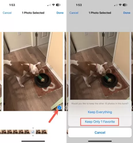 A screenshot of a dog eating from a bowl

Description automatically generated