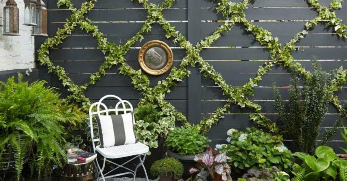 Trellis with Climbing Plants