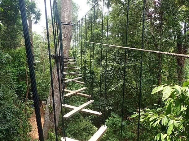 10 outdoor activities in langkawi for day time adventure skytrex langkawi