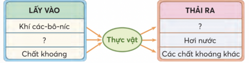 BÀI 15. THỰC VẬT CẦN GÌ ĐỂ SỐNG VÀ PHÁT TRIỂN?