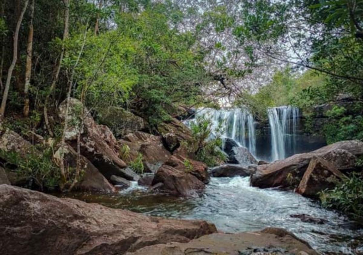 A waterfall in a forest

Description automatically generated