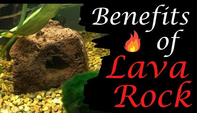 Benefits of Using Lava Rocks