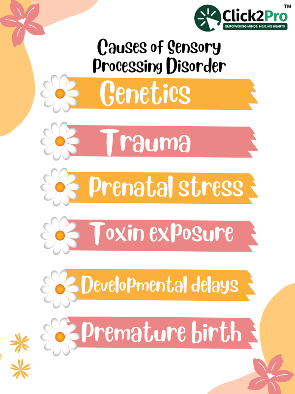 Causes of Sensory Processing Disorder: Genetics, Trauma, Prenatal Stress, Toxin Exposure, Delays