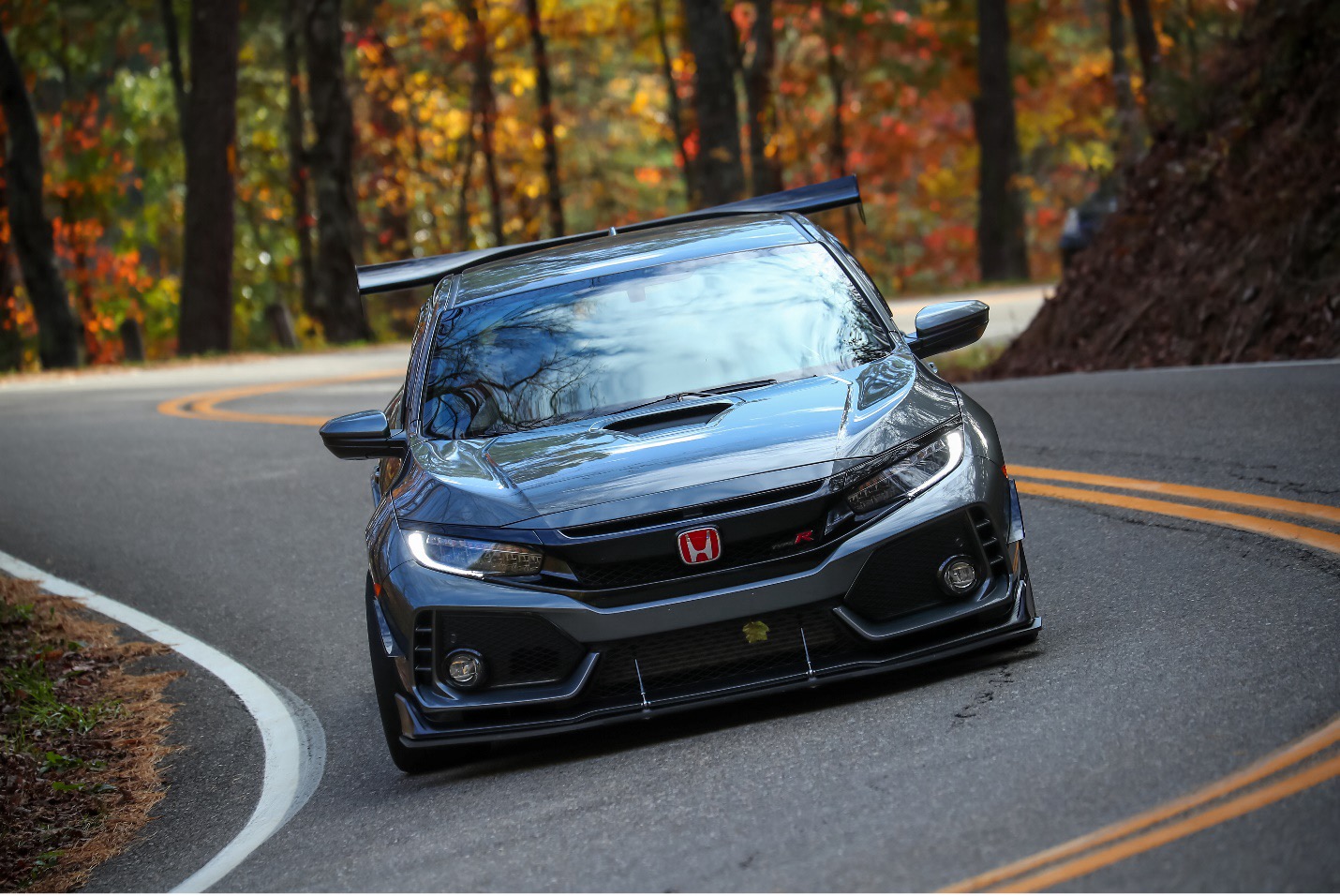 Honda Civic Type R on a curvy road in a forested area