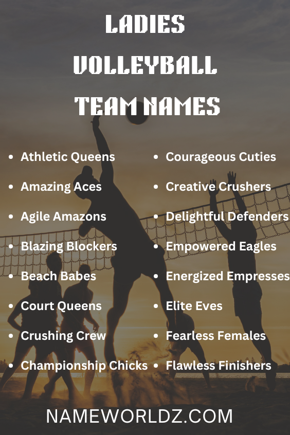  Ladies Volleyball Team Names 