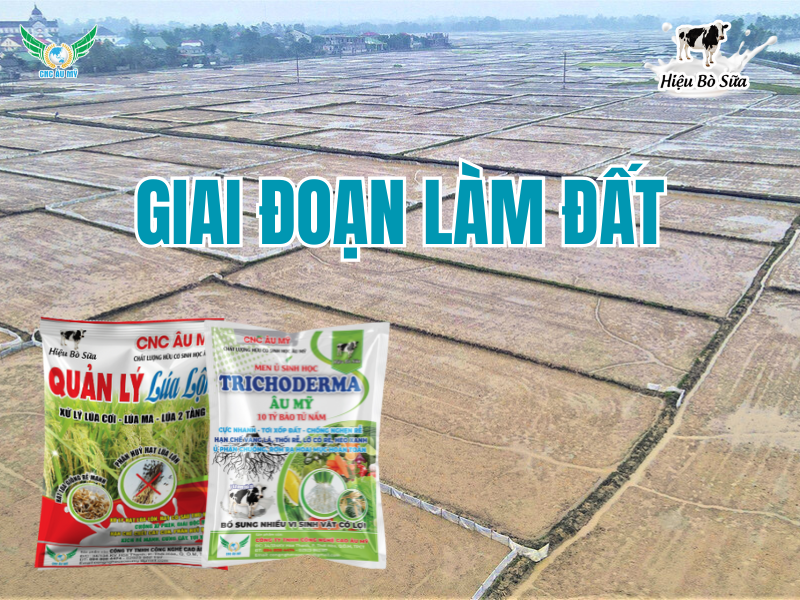ỨNG DỤNG BỘ SẢN PHẨM CÔNG NGHỆ CAO ÂU MỸ TRÊN CÂY LÚA  