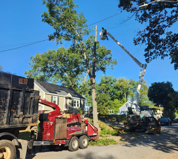 The Environmental Impact of Demolition and How to Minimize It!