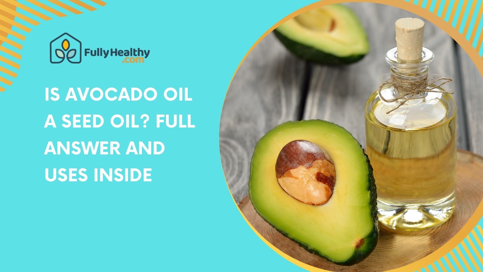Is Avocado Oil a Seed Oil? Full Answer and Uses Inside