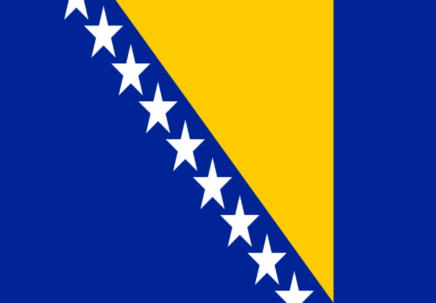 A blue and yellow flag with white stars

Description automatically generated