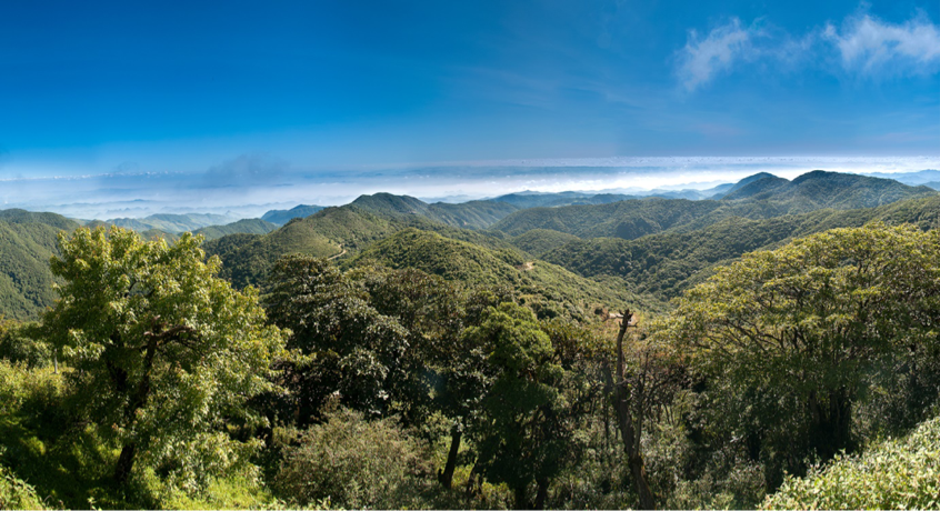 Protecting the Green and Beautiful Homeland to Make for  Biodiversity