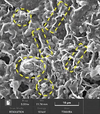 A close-up of a microscope

Description automatically generated