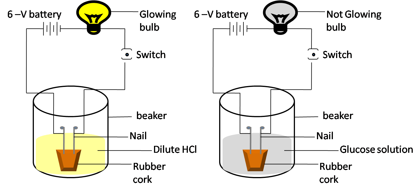 ions conduct electricity in the solution resulting in the glowing of the bulb