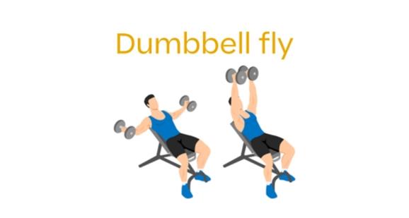 How to preform dumbbell fly step by step in the gym