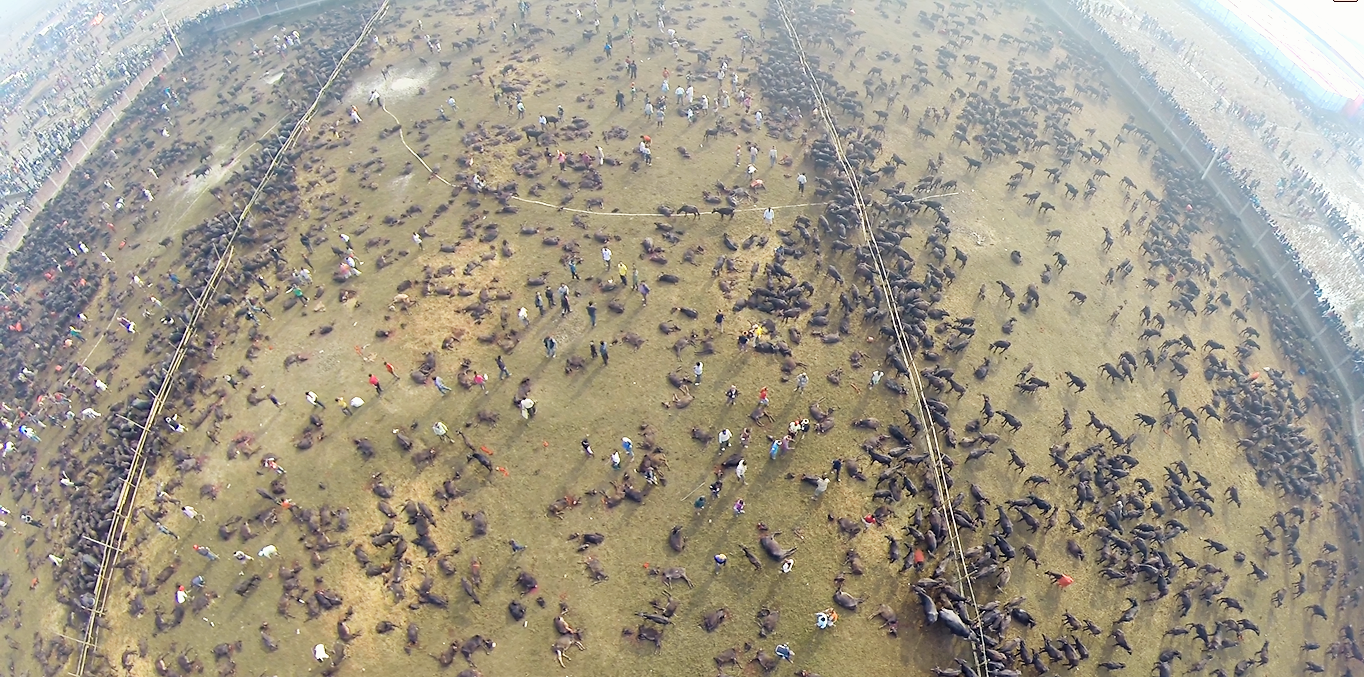 G:\Gadhimai\Reports\Report pics\Overview.png