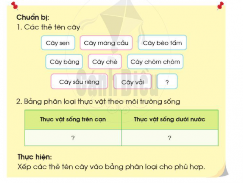 2. Phân loại thực vật và động vật theo môi trường sống